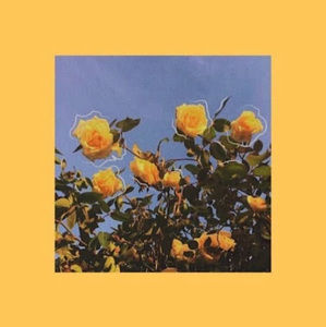 Meet your Posher, Sanjana